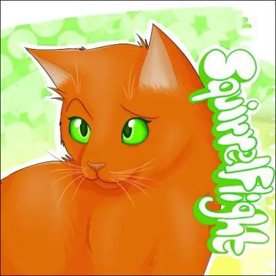 Pourquoi ne parle-t-elle plus à Griffe de Ronce pendant un certain temps ?