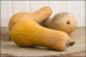 Ce légume est une variété de courge musquée, sa chair est douce et fondante et au goût de châtaigne, son nom anglais est "butternut". Mais, quel est son nom français ?