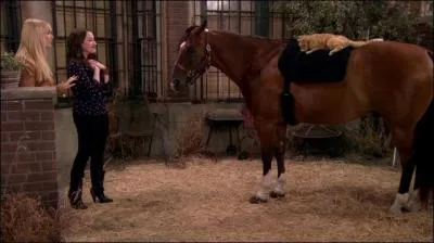 Comment se nomme le cheval de Caroline ?