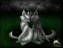 Clan de la Rivière : Chatte pommelé gris argent.