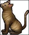 Clan du Vent : Chatte au pelage brun clair, chef des Souterrains.