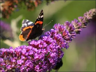Quel poète contemporain né en 1926 a écrit "Avril" ?