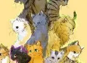 Quiz La guerre des Clans : Les amours