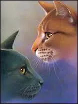 J'étais parti pour une quête, mais là où nous sommes allés, je suis resté, car j'aimais une chatte d'une tribu. Qui suis-je ?