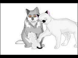 Notre amour ne plaisait pas à ma sur. Quand il est mort, j'espérais mais en vain qu'il allait me rejoindre. Qui suis-je ?