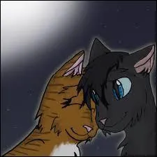 D'abord, j'ai aimé une chatte qui s'est sacrifiée. Ensuite, une guérisseuse. Mais pas une seule qui venait de mon clan ! Qui suis-je ?