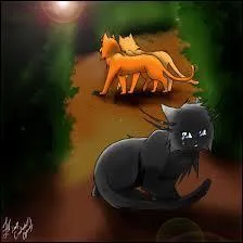 J'ai été amoureuse de mon mentor qui aimait une guerrière en parfaite santé, pas comme moi. Cela m'a fait souffrir. Qui suis-je ?