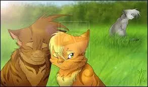 Pelage de Granit a failli tuer mes neveux parce qu'il m'aimait... alors que moi j'aimais Griffe de Ronce. Qui suis-je ?