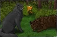 Je n'aurais jamais du l'aimer, non seulement parce que je suis guérisseuse, mais notre fils est un traître. Qui suis-je ?