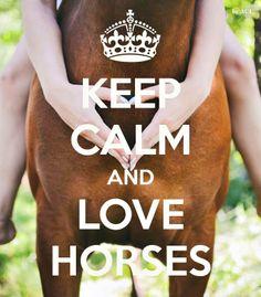 Quiz Galop 4