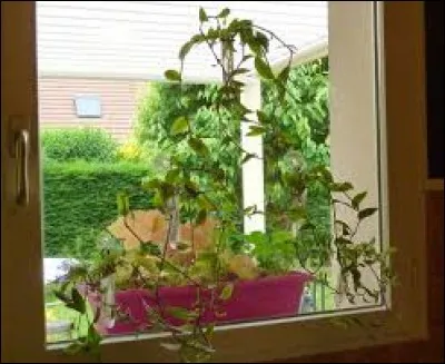 Perdre de la vigueur, diminuer en volume c'est...