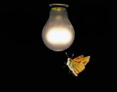 Le phénomène d'interaction qui se produit aux interfaces entre deux liquides non miscibles, c'est ....