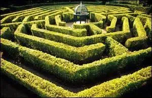 Je me perds dans ce ........ d'informations. Il faut organiser nos données.