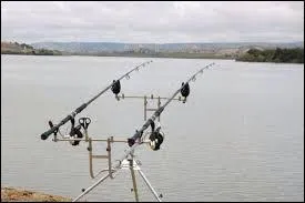 Le pire des maladroits peut l'attraper à la main .....