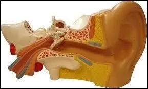 Suspension d'audience .....