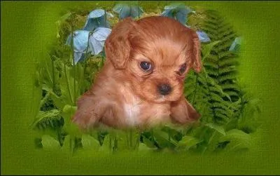 Combien vaut-il dans la vitrine, d'apr&egrave;s Line ?