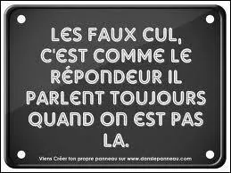 Lequel de ces mots n'est pas synonyme de faux-cul ?
