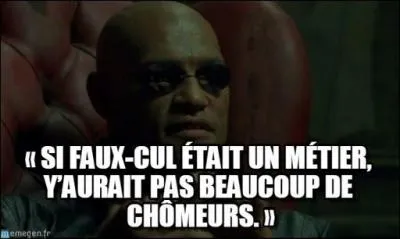 Lequel de ces termes n'est pas synonyme de faux-cul ?