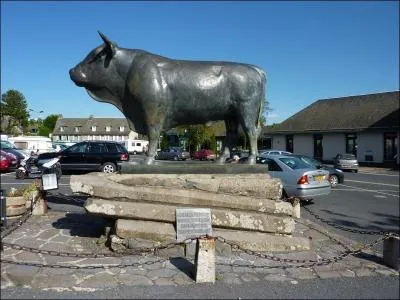 La ville de Laguiole, célèbre pour ses couteaux est située dans le département :