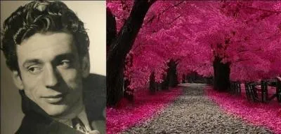 Un merle moqueur apparaît dans cette chanson qui a symbolisé la « Commune de Paris » en 1871. Elle est dédiée à une infirmière disparue pendant la « Semaine sanglante ». Elle sera reprise dans les années 1950. Quelle est cette chanson ?