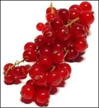 Généralement, les groseilles sont classées en deux catégories. Lesquelles ?