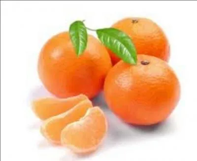 Où et quand la clémentine a-t-elle été créée ?