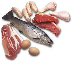 Pour quoi est-il bon de manger de la viande des �ufs et du poisson ?