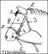 Comment s'appelle la partie n°3 ?