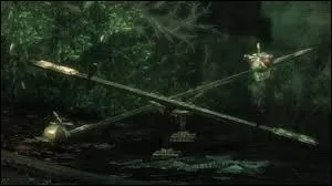 Quels personnages les plus idiots ont pu voir ces deux épées sans problème ?