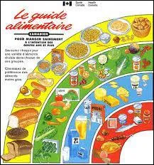 Quels sont les quatre groupes alimentaires ?