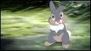Comment s'appelle l'ami de Bambi et combien il a de soeurs ?