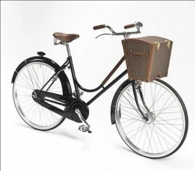 Quel chanteur ne correspond pas à l'image ?