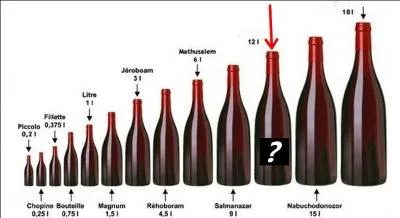 Quel nom porte une bouteille de champagne d'une contenance de 12 litres ?