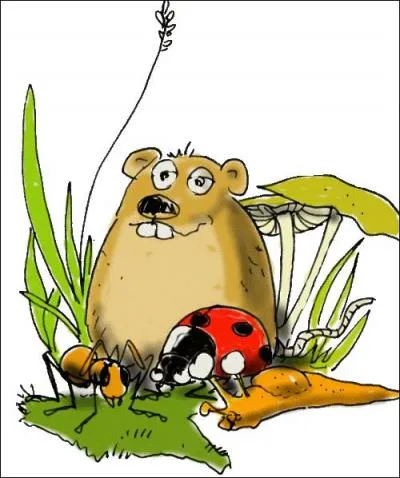 Qu'est-ce qui fait partie des êtres vivants ?