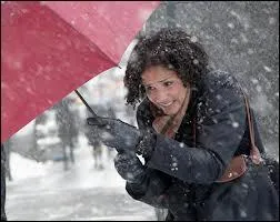 Que font les fourmis pendant l'hiver  ?