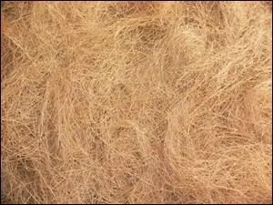 Quelle préfixation faites-vous au mot suggéré par l'illustration pour obtenir un nationaliste, terroriste ?