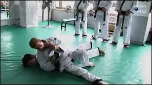 En Cor&eacute;e du Sud, Jimmy et Doug nous ont fait d&eacute;couvrir un art martial m&ecirc;lant coups de pied et de poing avec prises de projection et d'immobilisation. Ce style de combat a pour nom :