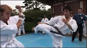 Le p&eacute;riple de Doug et Jimmy les mena &eacute;galement au Japon. Ils y ont suivi l'enseignement du "kyokushinkai", l'un des nombreux styles de ce c&eacute;l&egrave;bre art martial nippon qui est :