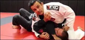 L'escale br&eacute;silienne de "Fight Quest" a permis de nous faire d&eacute;couvrir une pratique proche du combat libre et import&eacute;e du Japon. De quoi s'agit-il ?