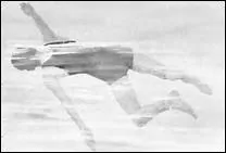 Quel nom porte ce type de nage dérivée du crawl.