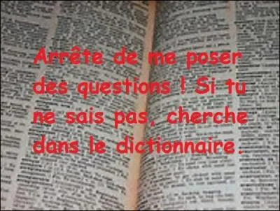 Qui est un interprète-traducteur, un intermédiaire ?