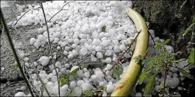 Malgré tout, quel temps fait-il ?