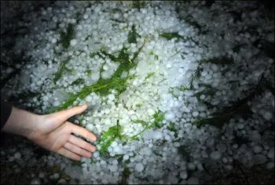 Que tombe-t-il encore ?