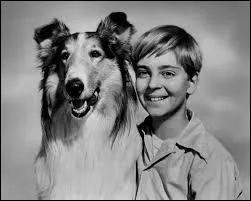 De quel pays est originaire la série télévisée "Lassie" ?