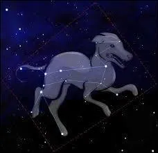 Laquelle de ces constellations n'existe pas ?