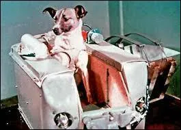 Combien de temps la chienne Laïka a-t-elle survécu à bord de l'engin spatial "Spoutnik 2" en 1957 ?