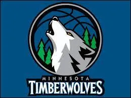 Ce logo est celui de l'équipe des Minnesota Timberwolves. Dans lequel de ces championnats évolue cette équipe professionnelle américaine ?