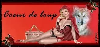 "Coeur de loup" est le titre d'une chanson sortie en 1989. Qui en est l'interprète ?