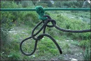 Quel suffixe faut-il coller au verbe suggéré par l'illustration pour avoir une plante grimpante ou rampante selon la manière dont on la taille, mais qui s'agrippera de toute façon ?