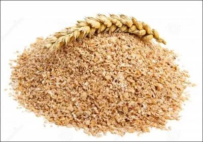 Quelle préfixation doit-on ajouter au nom évoquant une enveloppe de blé pour avoir un morceau de grès cassé ou celui d'une bouteille ?